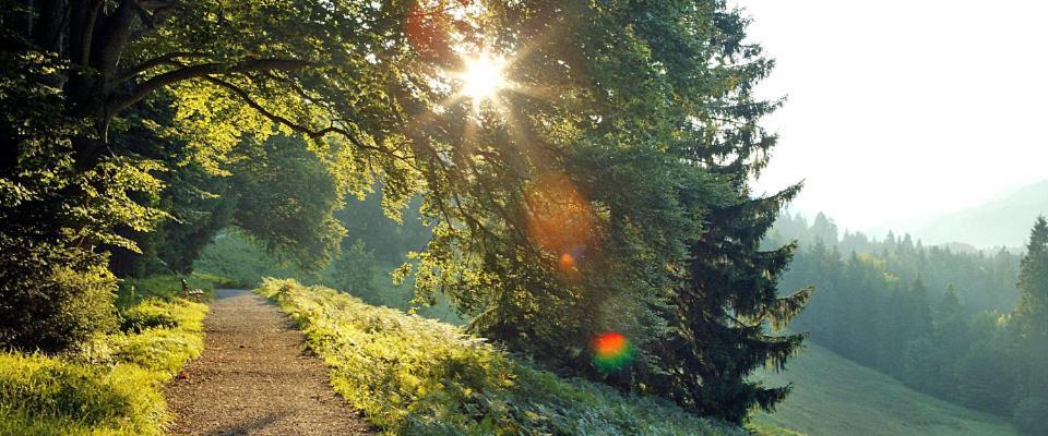 Landgasthof Kirchmayer Farchant Dış mekan fotoğraf